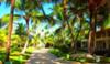 Paradisus Punta Cana: Around the resort